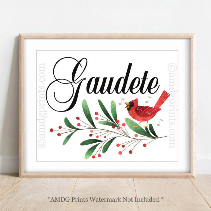CH12 Gaudete