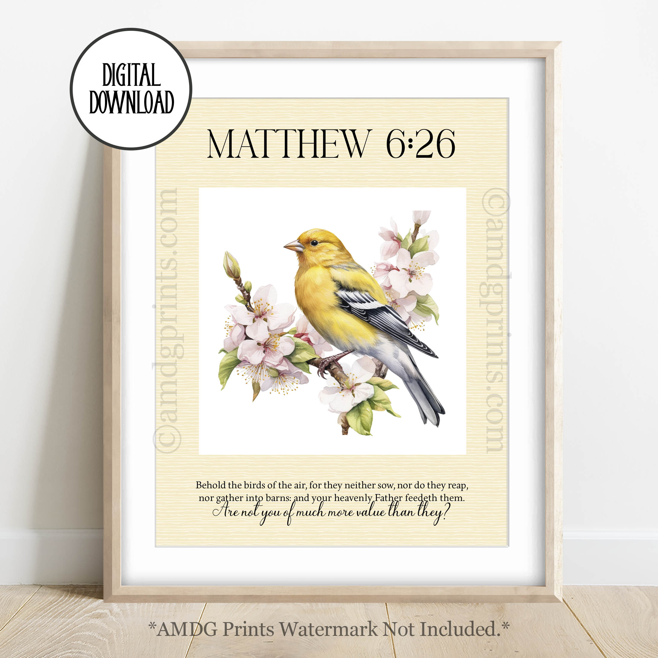 BV33 Yellow Finch DD